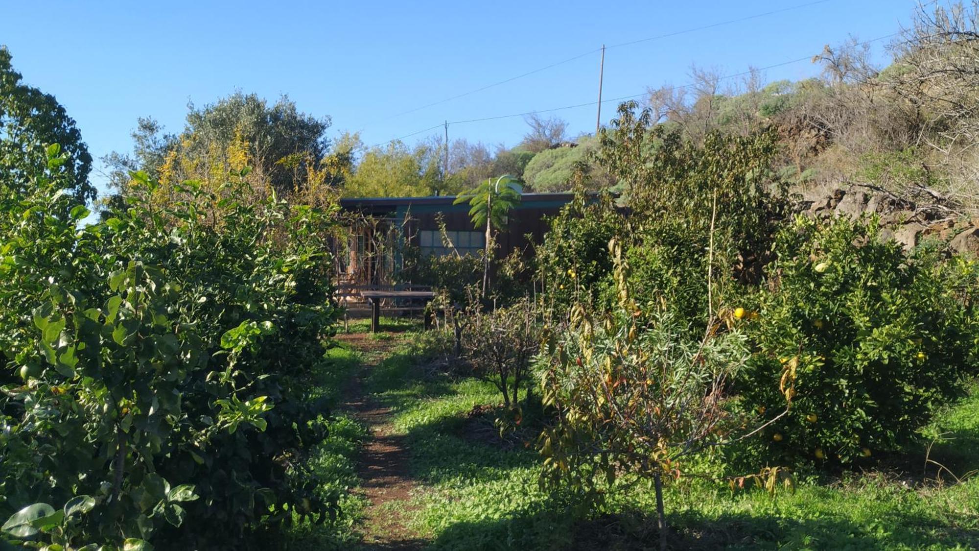 Finca Panorama Tijarafe Exterior photo